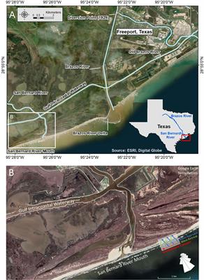 Unintended consequences of modifying coastal river systems